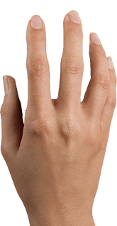 作品動(dòng)畫(huà)